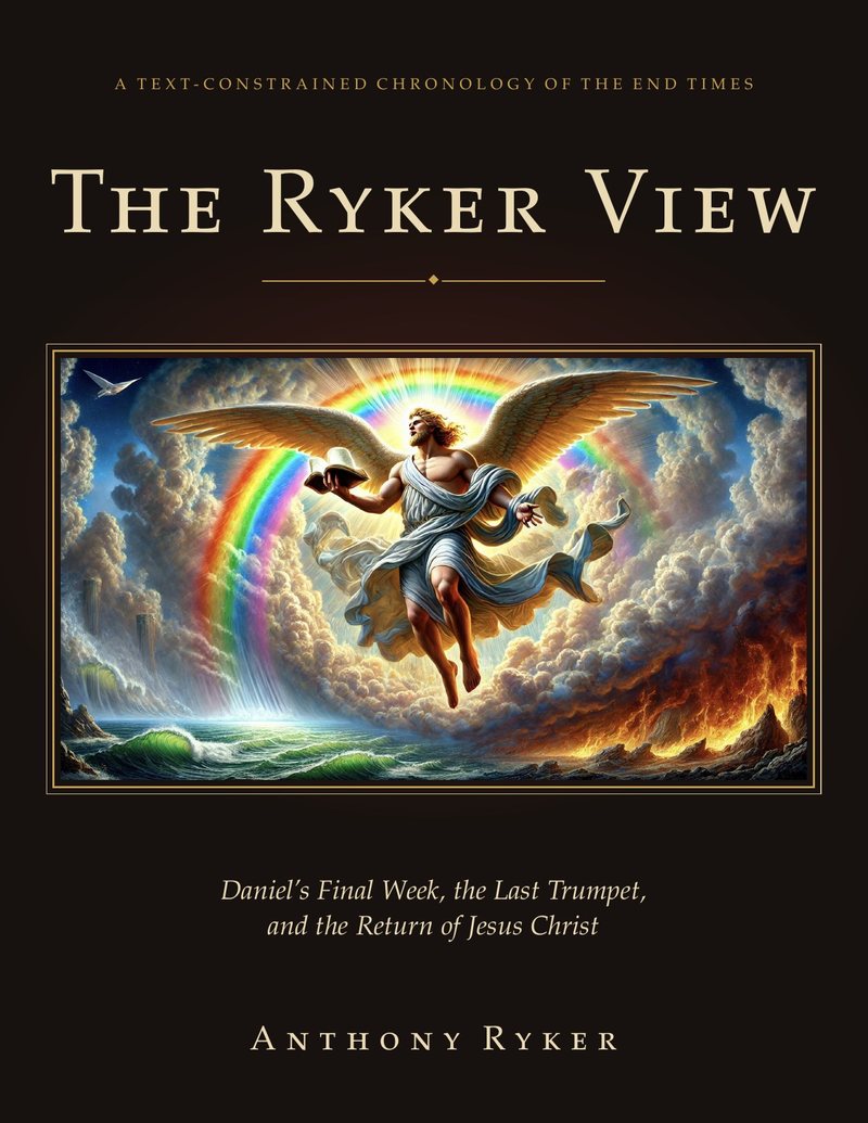 The Ryker View by Anthony Ryker, front cover